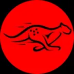 猎豹TK短视频网络节点