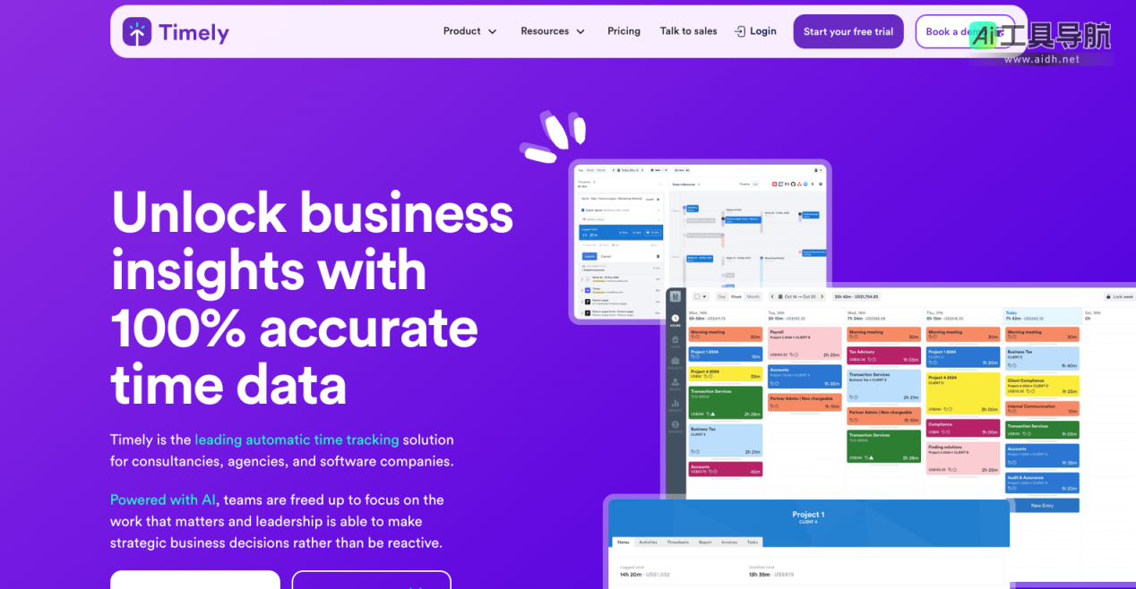 Timely 帮助团队轻松跟踪工作时间，精确记录项目和任务时间 网站截图