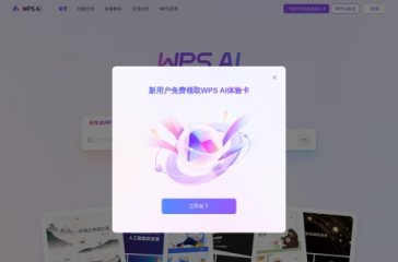 WPS AI 网站截图