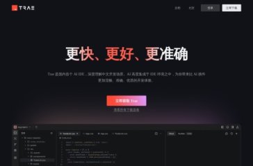 TRAE编程 网站截图