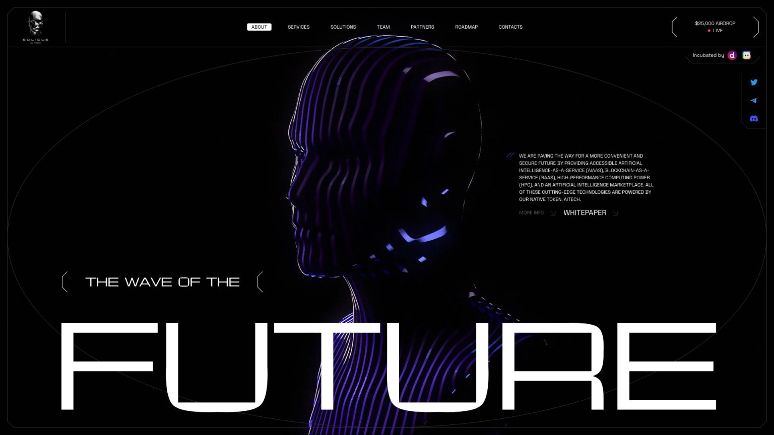 Solidus Ai Tech 网站截图