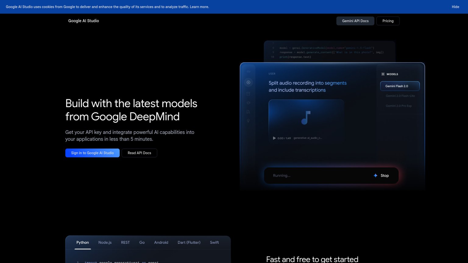 Google AI Studio 网站截图