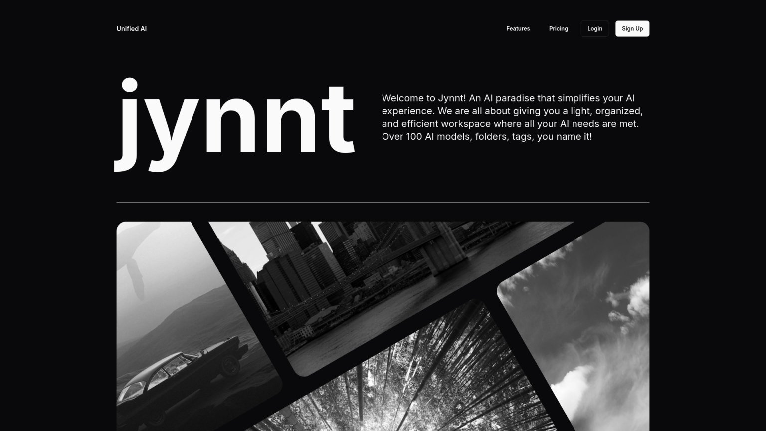 jynnt 网站截图
