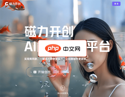 磁力开创 网站截图