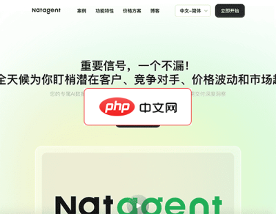 NatAgent 网站截图