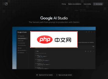 Google AI Studio 网站截图