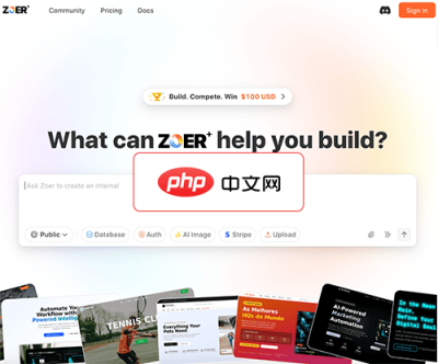 ZOER 网站截图