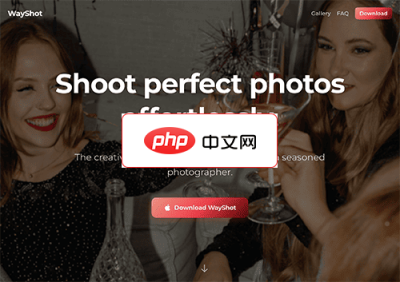 WayShot 网站截图