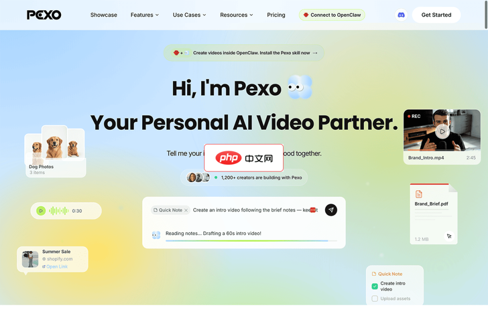 Pexo 网站截图