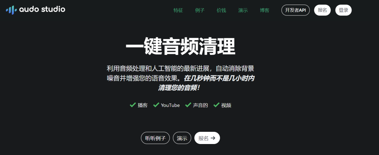 Audo Studio 网站截图