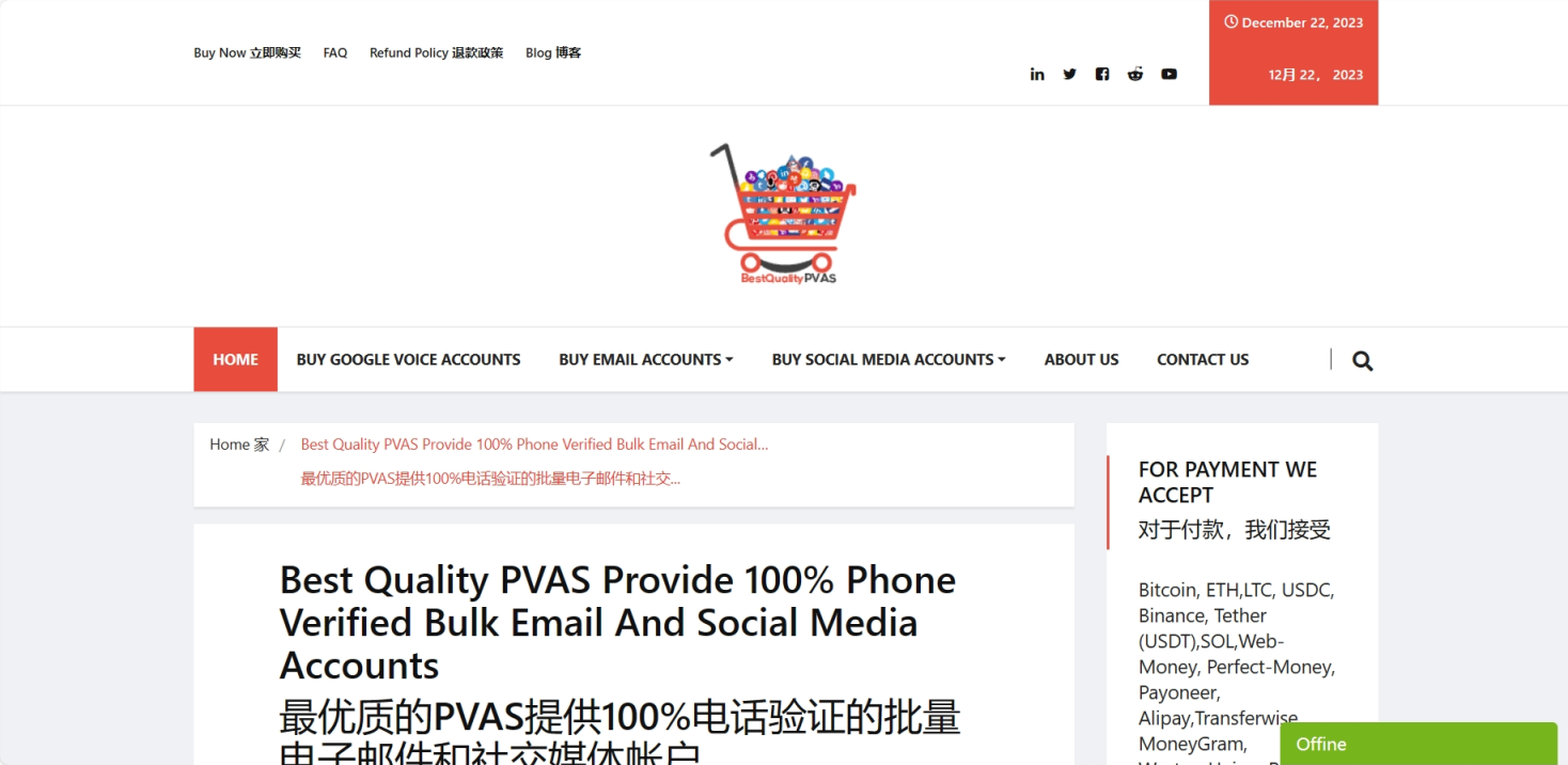 Best Quality PVAS 网站截图