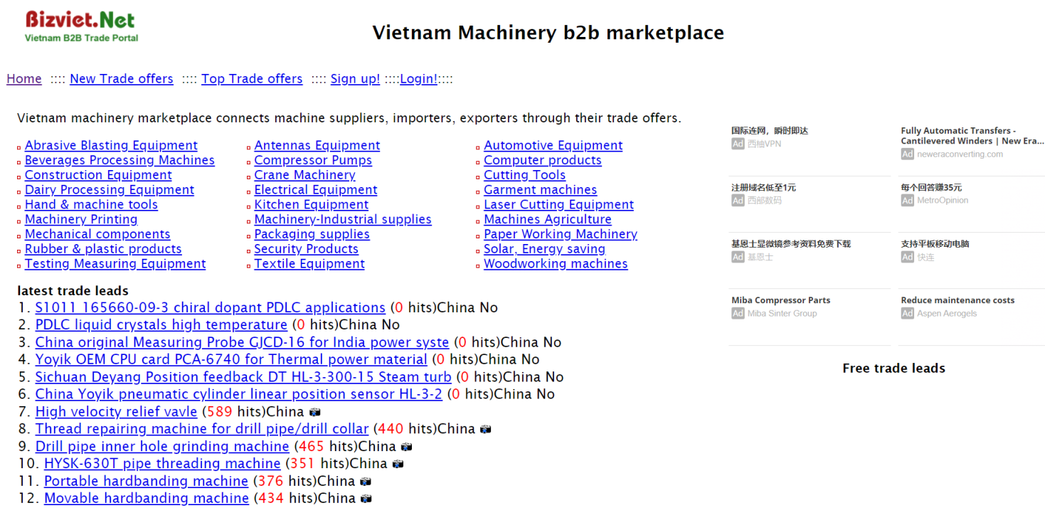 Bizviet 网站截图
