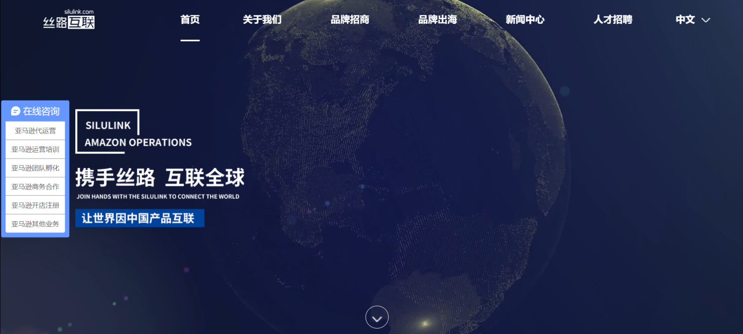 丝路互联 网站截图