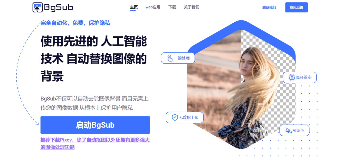 BgSub 网站截图