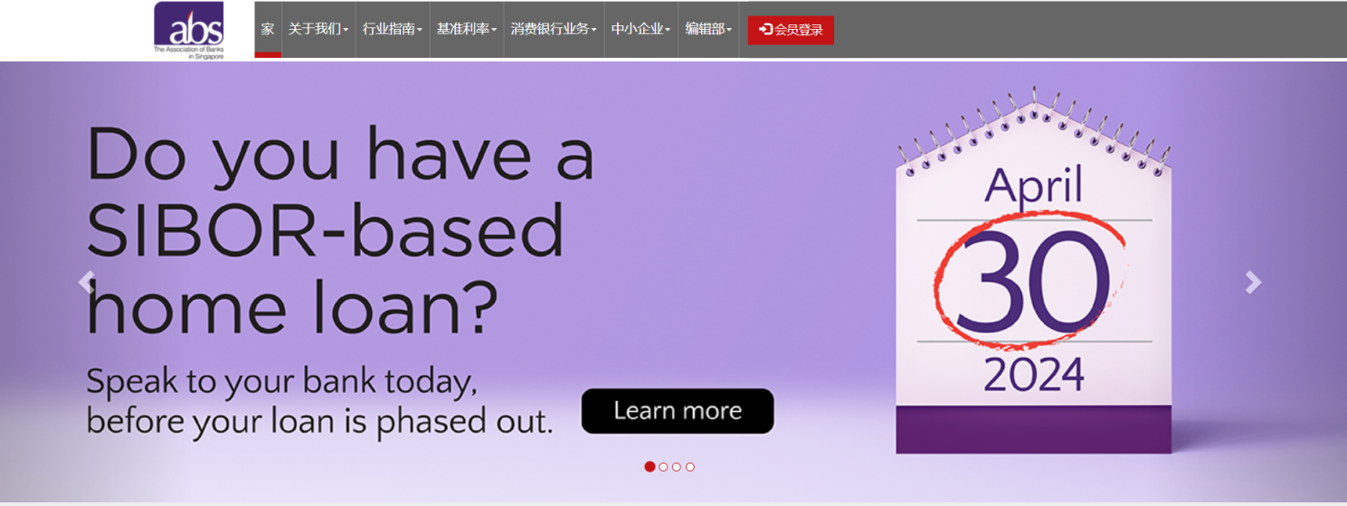 PayNow 网站截图