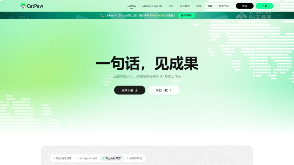 CatPaw 软件截图