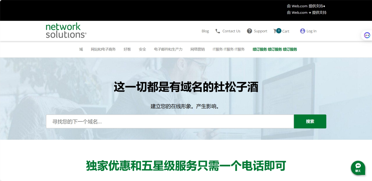 NetworkSolution 网站截图