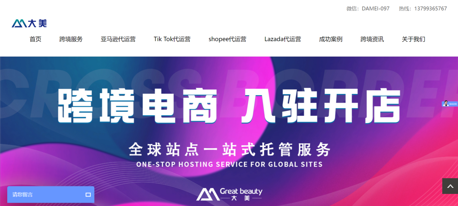 大美电商 网站截图