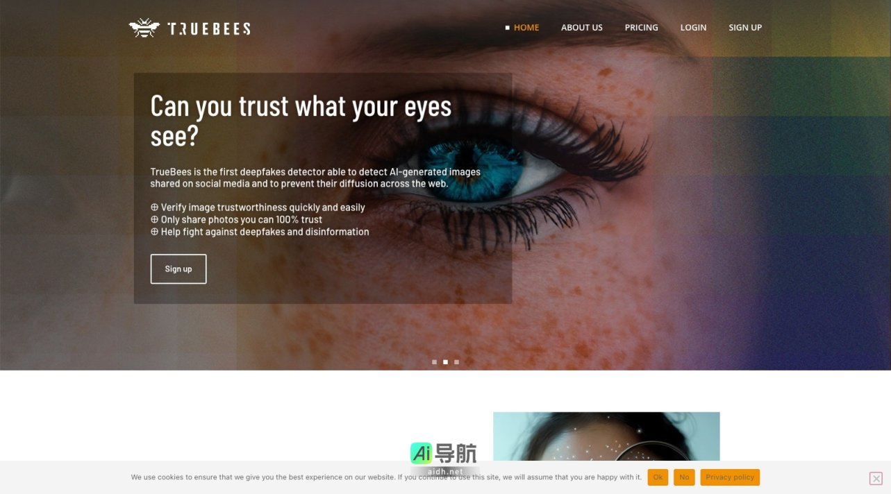 TrueBees 是首个深度伪造图像检测工具，帮助用户快速验证社交媒体上图像的真实性 网站截图