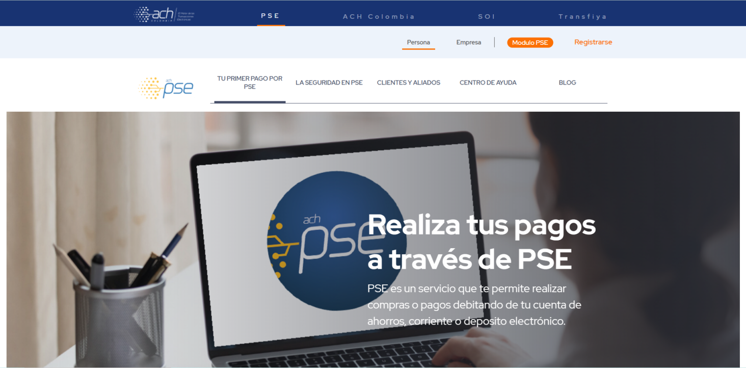 PSE 网站截图