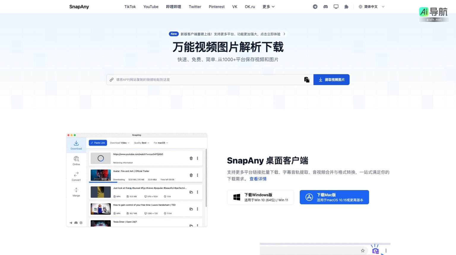 SnapAny 提供快速、免费、简单的视频和图片下载服务，支持1000+平台 网站截图