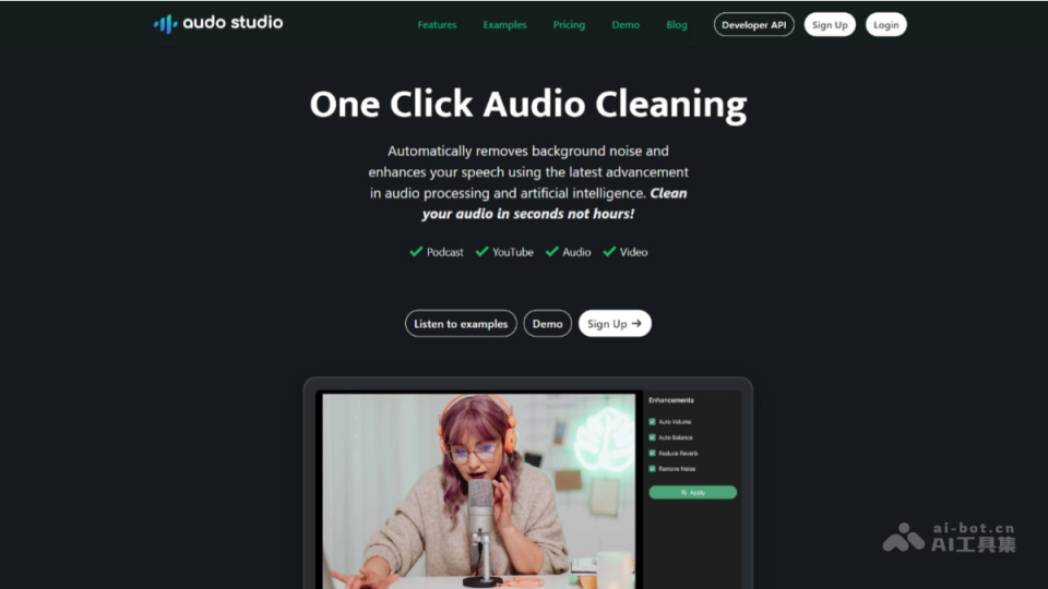 Audo Studio 网站截图