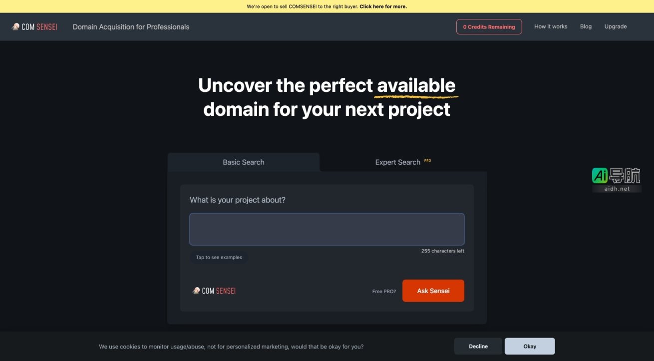 com sensei COMSENSEI专注于为专业人士提供完美的域名获取服务 网站截图