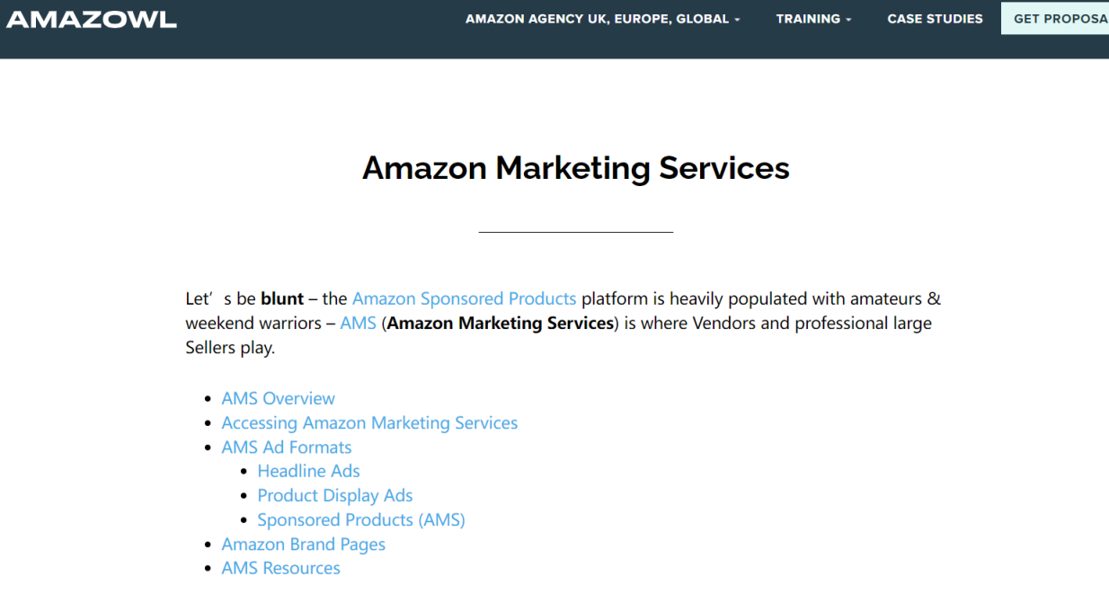 Amazowl 营销服务 网站截图