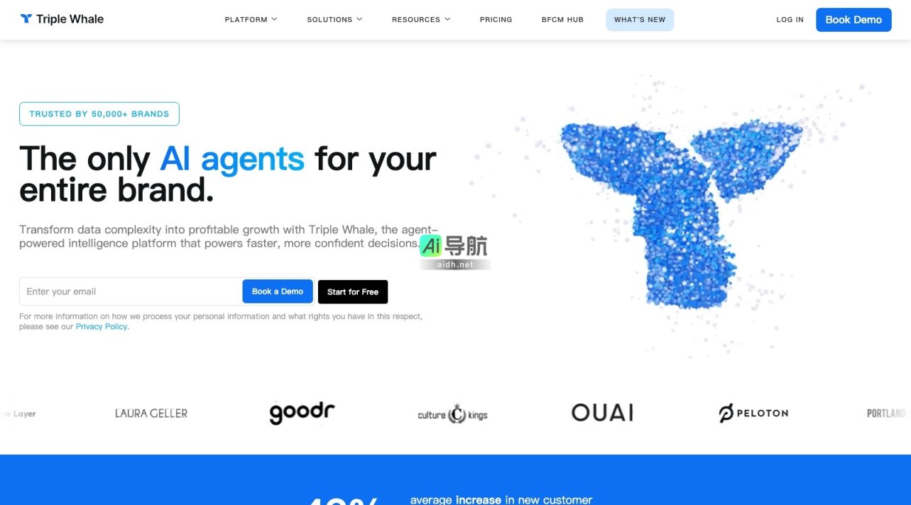 Triple Whale 通过AI代理平台帮助品牌简化数据分析，实现更快决策与利润增长 网站截图