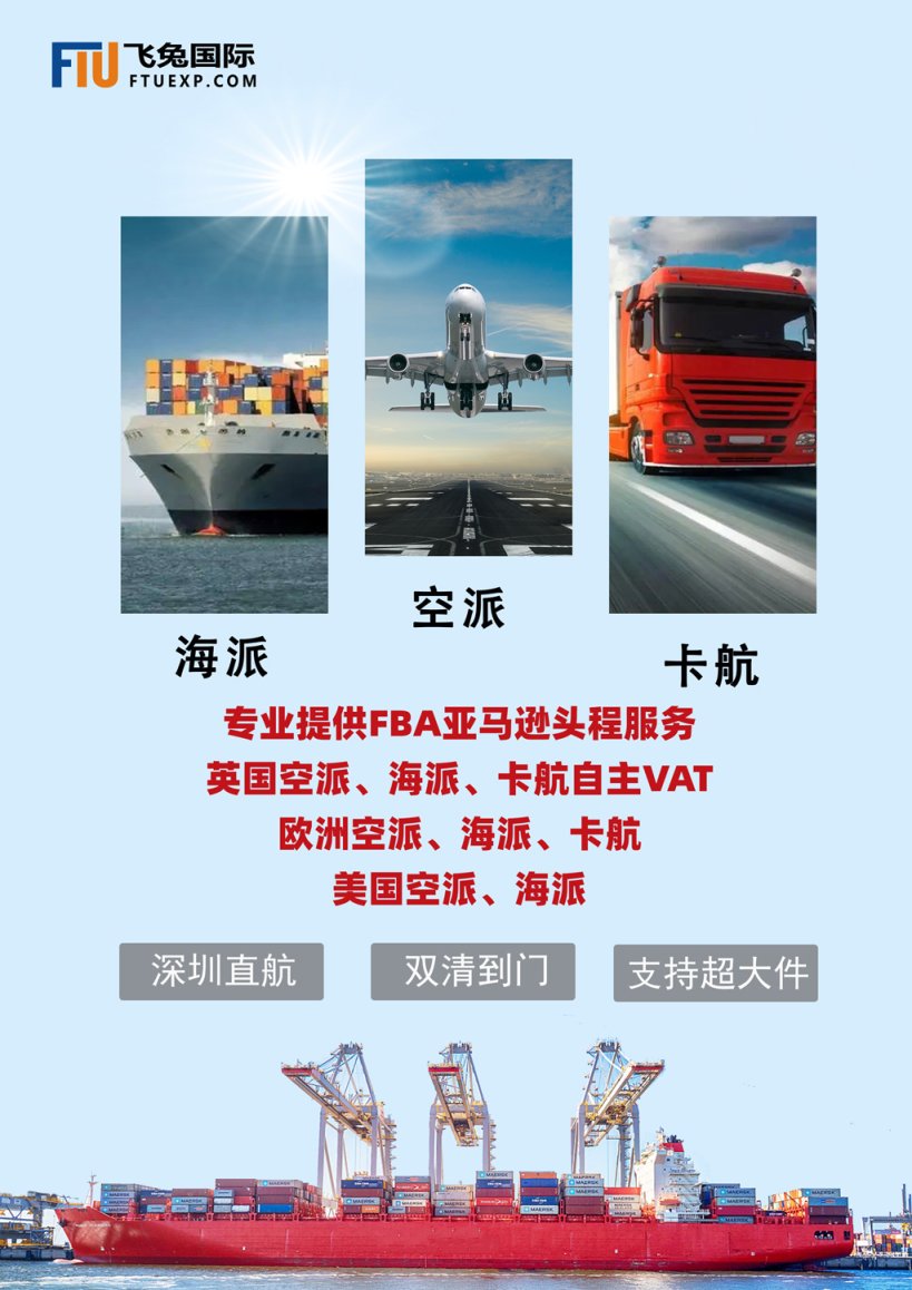 飞兔国际 网站截图