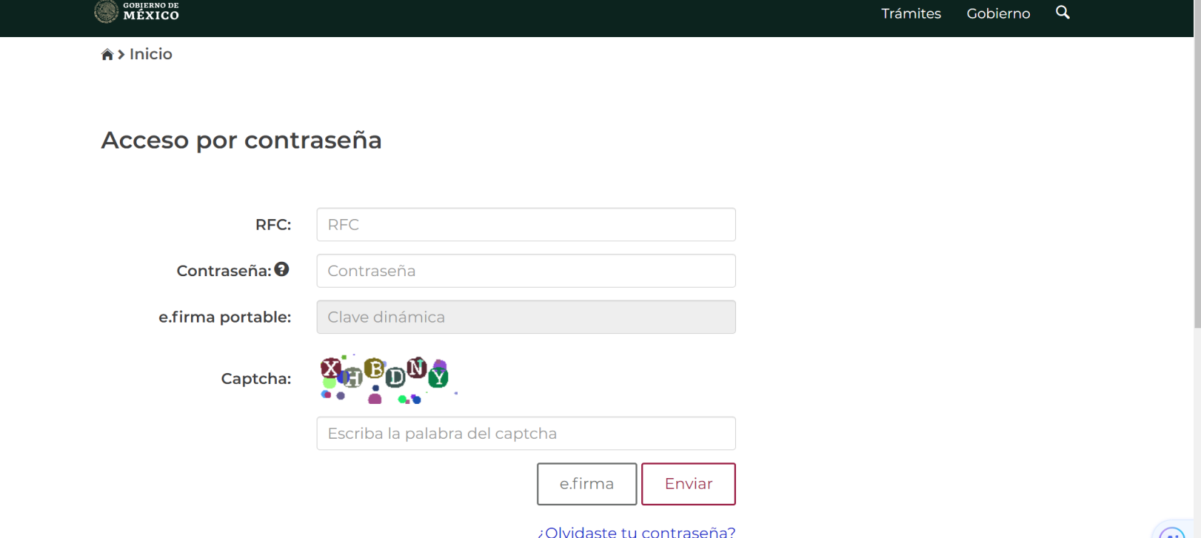 墨西哥海关总署 网站截图