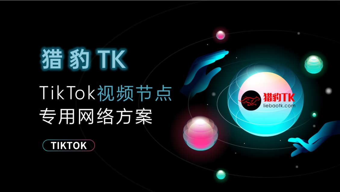 猎豹TK短视频网络节点 网站截图